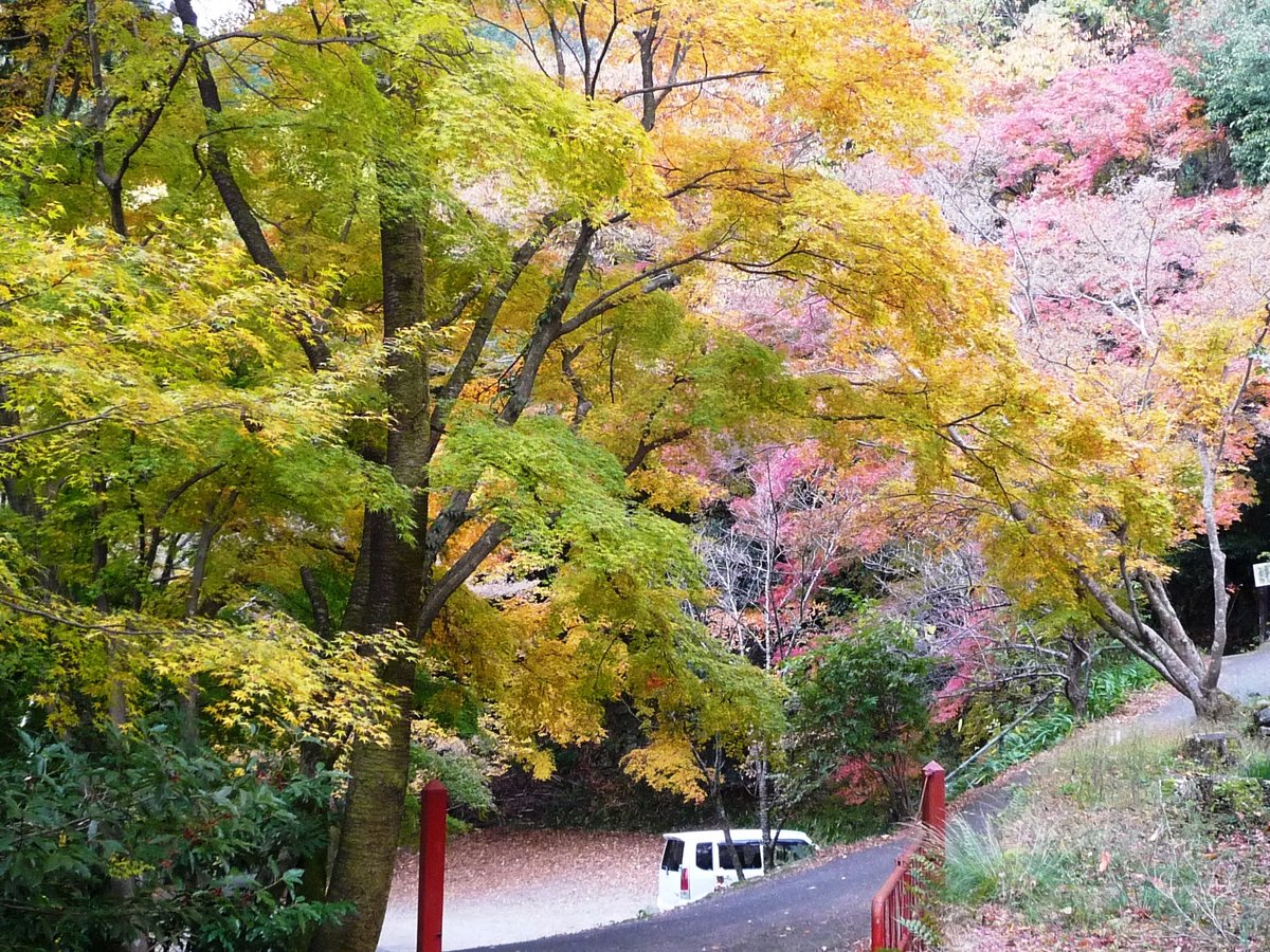 金蔵寺の紅葉特集 紅葉の穴場として必ず挙がる奥深い山寺 Mkタクシー Openmatome