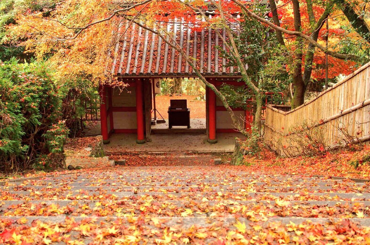 金蔵寺の紅葉特集 紅葉の穴場として必ず挙がる奥深い山寺 Mkタクシー Openmatome