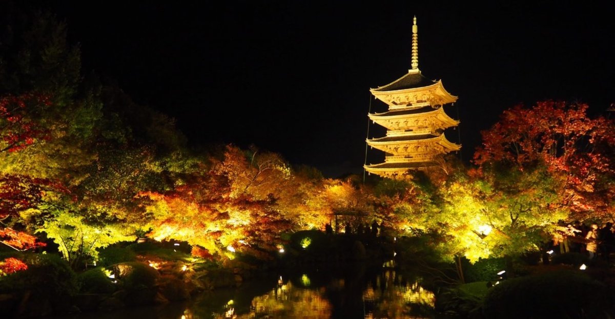 東寺の紅葉ライトアップ特集 金色に照らされる五重塔と鮮やかな紅葉 Mkタクシー Openmatome