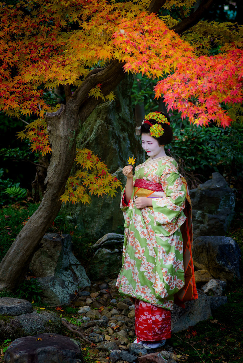 京都の芸舞妓さん写真集 全集 2017年 Openmatome