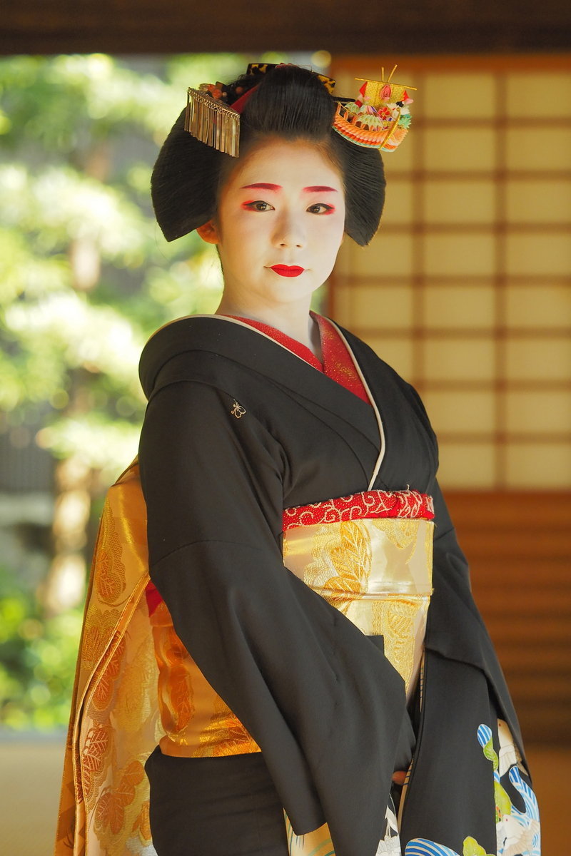 京都の舞妓さん芸妓さん写真集 全集 17年 Openmatome