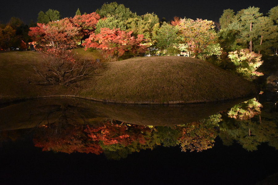 梅小路公園紅葉まつり 朱雀の庭ライトアップ 水鏡に映り込むる幻想的な紅葉 Openmatome