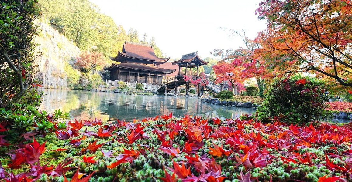 岐阜県東部の紅葉特集 永保寺 花フェスタ記念公園 穴弘法など Mkタクシー Openmatome