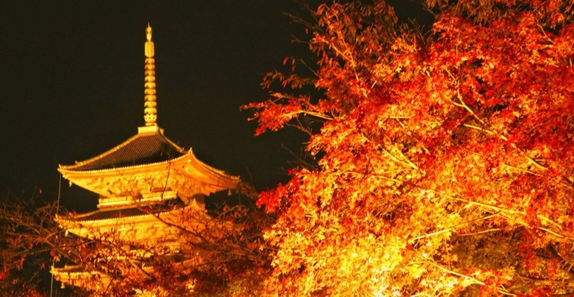 東寺の紅葉ライトアップ特集 金色に照らされる五重塔と鮮やかな紅葉 Mkタクシー Openmatome